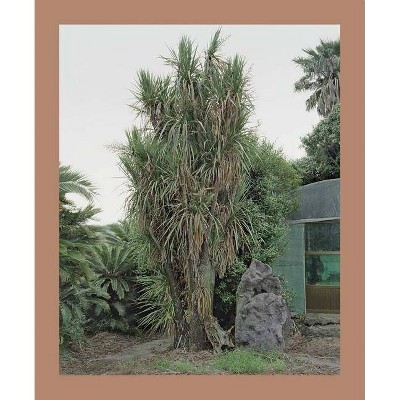 Oksun Kim: Jeju Island - (Hardcover)