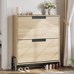 2-Drawer Shoe Storage Cabinet - Freestanding Organizer with Adjustable Shelf & Metal Legs for Entryway, Hallway - 1 of 4