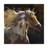 Trademark Fine Art -Carolyne Hawley 'Spirit Horse' Canvas Art - 2 of 4