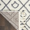 Nourison Diamond Trellis Shag Indoor Area Rug - 3 of 4