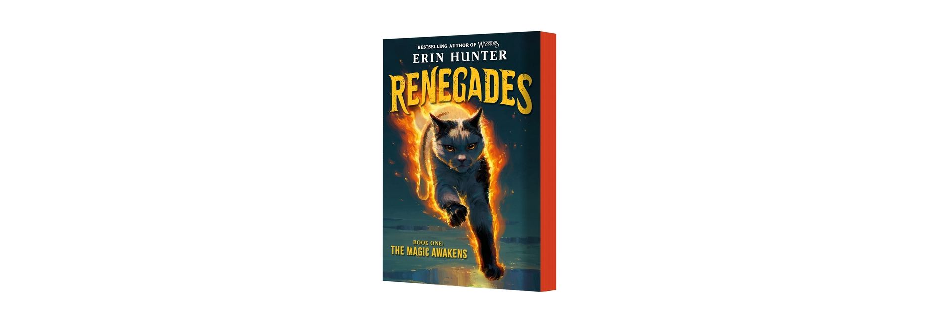Renegades #1: The Magic Awakens - by  Erin Hunter (Paperback)