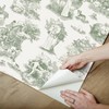 Brewster Peel and Stick 1pc Wallpaper Green The Chase - 2 of 4