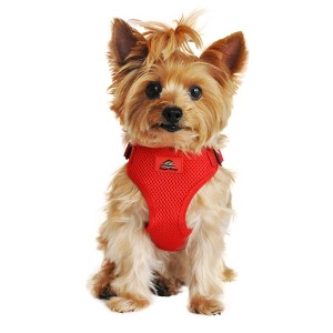 Doggie Design Wrap and Snap Choke Free Dog Harness - Flame Red - 1 of 4