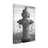 Canvas Wall Art - Lori Hutchison 'Fire Hydrant' Wall Art for Living Room, Bedroom, or Office Décor by Trademark Fine Art - 22 x 32 Inches - 2 of 4