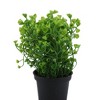 Unique Bargains Artificial Plants Bellflower Decorative Pot Plastic 3.74"x3.74"x10.63" 1 Pc - 4 of 4