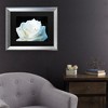Trademark Fine Art-Kurt Shaffer 'White Rose II' Canvas Art - 3 of 4