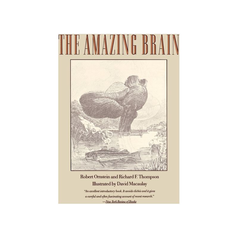 The Amazing Brain - by  Robert E Ornstein & Robert E Crnstein & David Macaulay (Paperback), 1 of 2