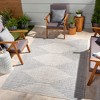 Mark & Day Okswerd Woven Indoor and Outdoor Area Rugs - image 2 of 4