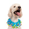 Midlee Blue Birthday Pom Pom Dog Collar - 3 of 4
