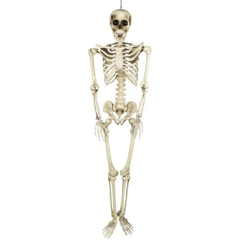 Skeleton Realistic Life-Size Human Prop, Gold, 60-in, Indoor/Outdoor  Decoration for Halloween