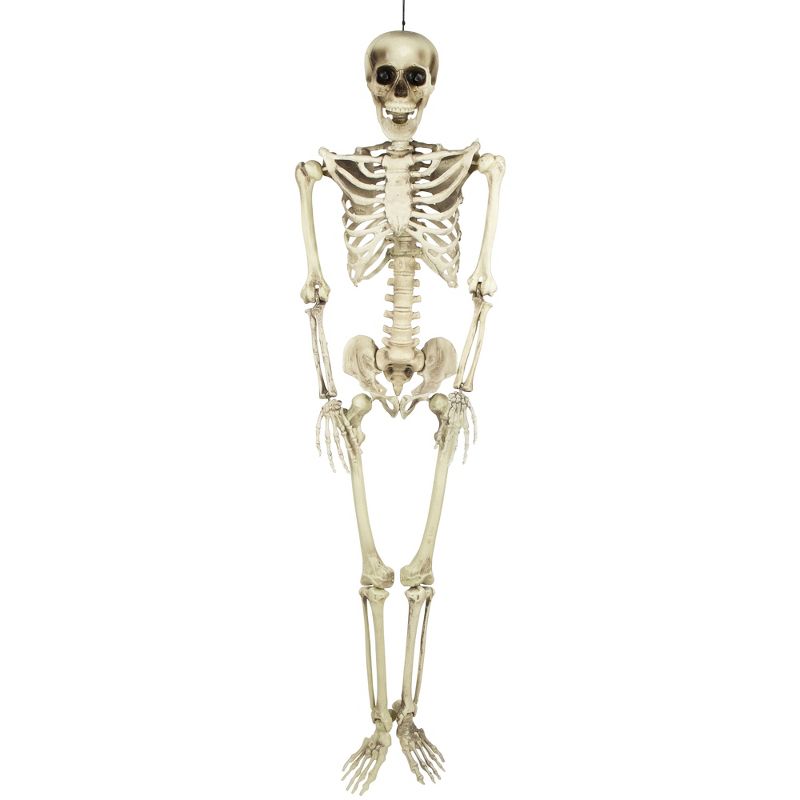 Northlight 5' Life Size Skeleton Indoor/Outdoor Halloween Decoration - White/Gray, 1 of 7