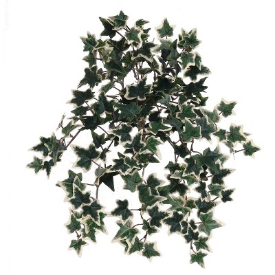 Floral Home 13" Green & White Mini Variegated Ivy Bush with 176 Leaves - 1-Piece