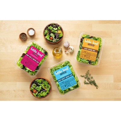 Little Leaf Farms Baby Spring Mix Lettuce Blend 4oz Target