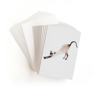 20ct Blank Cards Morning Yoga: pippa Stationery & Office, Cat Pattern, Foil Accents, Multicolor, Includes Envelopes, All Occasions - 1 of 3