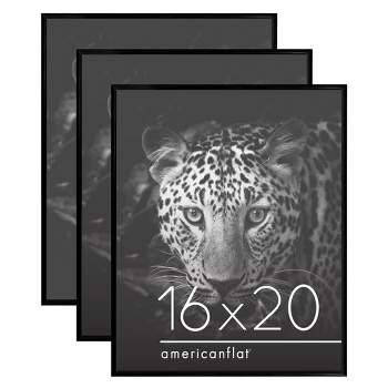 Americanflat 3 Pack Lightweight Poster Frames - Black