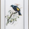15"x24" Set of 2 Bird Mirror Frame Prints - A&B Home: Vertical Wall Art, Mixed Media, Includes Mounting Hardware - 2 of 3