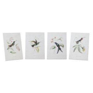 Hummingbird Print Wall Art (Set Of 4) Wood Frame 8.25 Inch Vintage Style Nature Decor By Melrose - 1 of 3