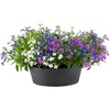 Tree Nest Sunny Smooth Round Hanging Planter, White - 2 of 4