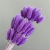 Alilang Dried Bunny Tail Grass Stems for Modern Home Decoration and Floral Arrangements, 23.5 Inches - 3 of 3