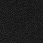 naval academy midshipmen