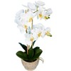 Vickerman 23" Artificial White Phalaenopsis In Pot. - 2 of 4
