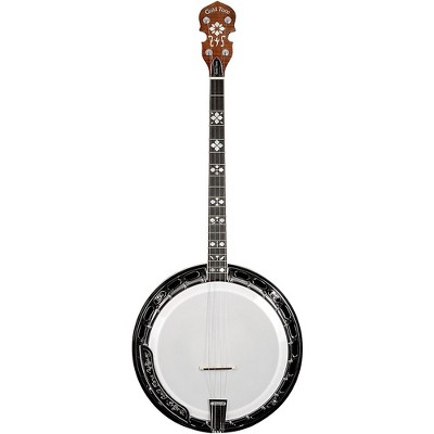 Gold Tone TS-250 Tenor Special Banjo With Case Vintage Brown