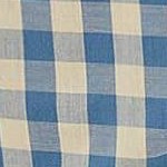 fresh yellow gingham