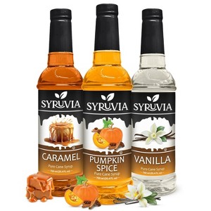 Syruvia Variety Pack - Pumpkin Spice, Caramel & Vanilla Syrup 25.4 Fl oz (3-Pack) - 1 of 4