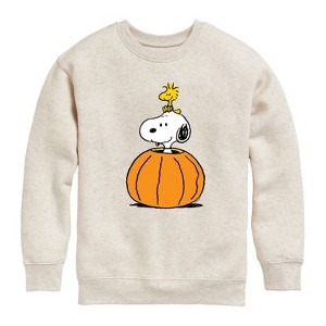 Boys' - Peanuts - Snoopy Woodstock Pumpkin Graphic Long Sleeve Fleece Sweatshirt - 1 of 4