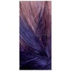 L'Oreal Paris Colorista 1-Day Hair Color Spray - image 3 of 4