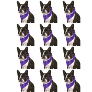 12 Pack Paisley Triangle Polyester Dog Bandanas for Daily Wear Outings - 1 of 4