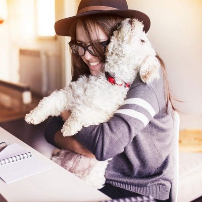 Pink 4-Wheel Pet Stroller with Mesh Windows