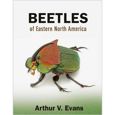 Beetles of Eastern North America - by  Arthur V Evans (Paperback)