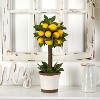 Lemon Topiary Arrangement - 18" Decorative Ball Plant with Faux Lemons & Greenery in Pot - 4 of 4