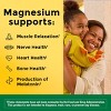 Nature Made 2 Pack/60ct Each High Absorption Magnesium Glycinate 200mg Supplement Capsules - 4 of 4