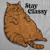 Womens Funny T Shirts Stay Classy Sarcastic Fat Cat Graphic Novelty Tee For Ladies - Crazy Dog Women's T Shirt For Cat Lovers - 2 of 4