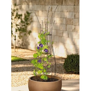 Gardener's Supply Company Decorative Metal Pot Trellis | Powder-Coated Steel Stands 50 Inches High For Climbing & Vining Plants & Flowers - 1 of 4