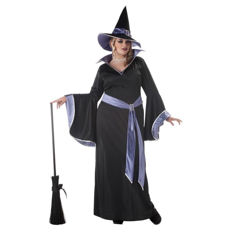 California Costumes Incantasia, The Glamour Witch Women's Plus Size Costume, 1 of 2