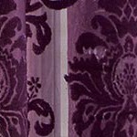 aubergine