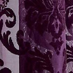 aubergine
