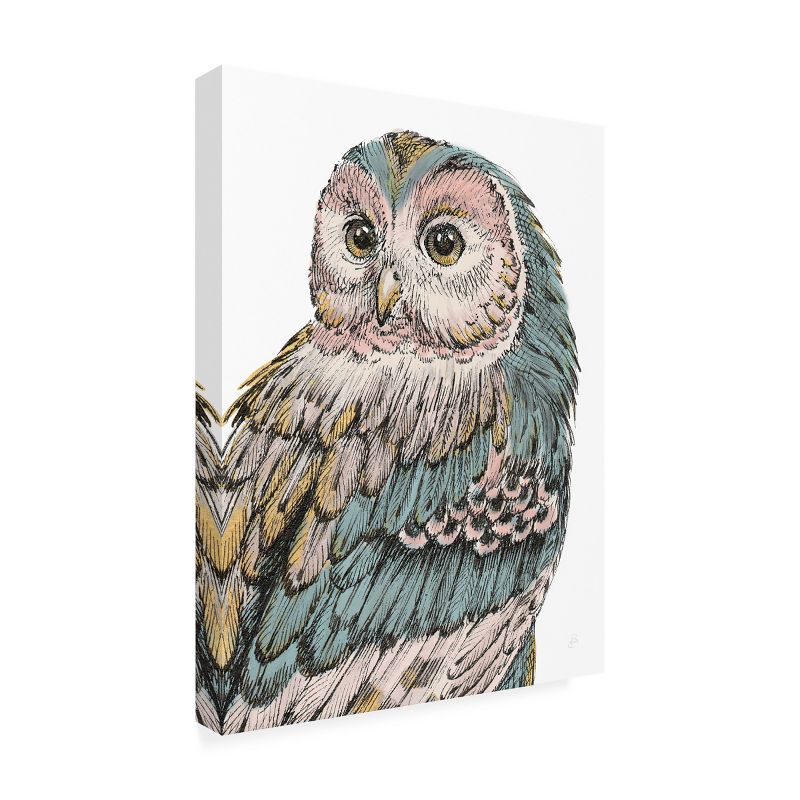 Trademark Fine Art -Daphne Brissonnet 'Beautiful Owls I Pastel' Canvas Art, 4 of 5