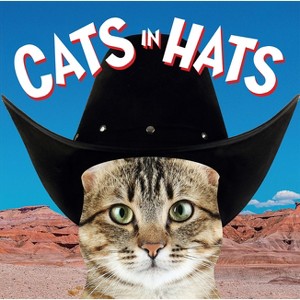 Cats in Hats - by  Ammonite Press (Board Book) - 1 of 1