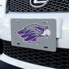 UW Whitewater Secondary Logo Novelty Metal Vanity Tag License Plate - 2 of 4