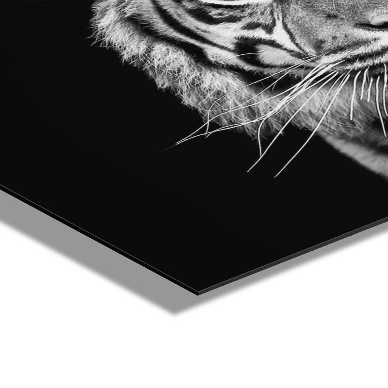 23&#34; x 23&#34; Tiger Minimalist Animal Portrait by The Creative Bunch Floating Acrylic Wall Canvas Black - Kate &#38; Laurel All Things Decor, 4 of 7