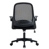 Ergonomic Office Chair with Lumbar Support 5 Wheels Nylon Mesh Computer Chair for Women Men Grown-ups Working Studying Black One Size - 3 of 4