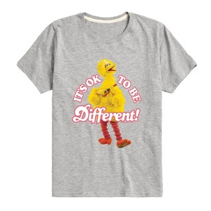 Boys' - Sesame Street - Its Ok To Be Different Short Sleeve Graphic T-Shirt - 1 of 4