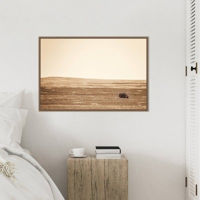 33" x 23" Sepia Bison Landscape Framed Canvas Wall Art