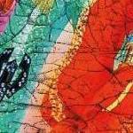 clear push pins bundle