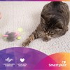 SmartyKat Bouncy Mouse Plush Dangler Catnip Toy, Plush Toy for Indoor Cats & Kittens, Featuring Catnip, Encourages Exercise & Interactive Play - 4 of 4