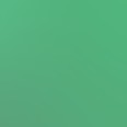 black / green mirror